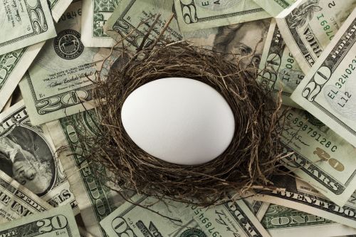 nest egg money